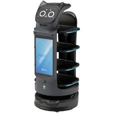 BellaBot Pro view 2